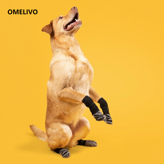 OMELIVO™  Non-Slip Dog Grip Socks🐕