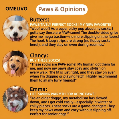 OMELIVO™  Non-Slip Dog Grip Socks🐕
